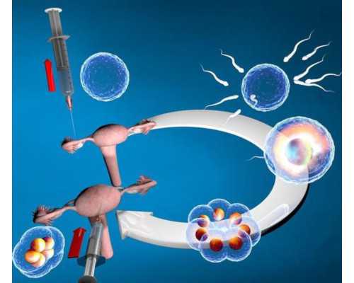 什么是恶性卵巢囊肿？卵巢囊肿8cm是癌症吗？~助孕价格