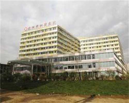 下丘脑及垂体后叶引发不育症~哪有代怀的