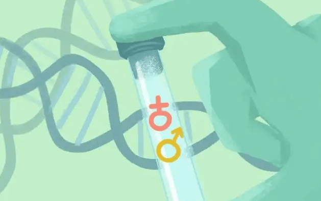 备孕5年试管报喜分享(*￣︶￣)